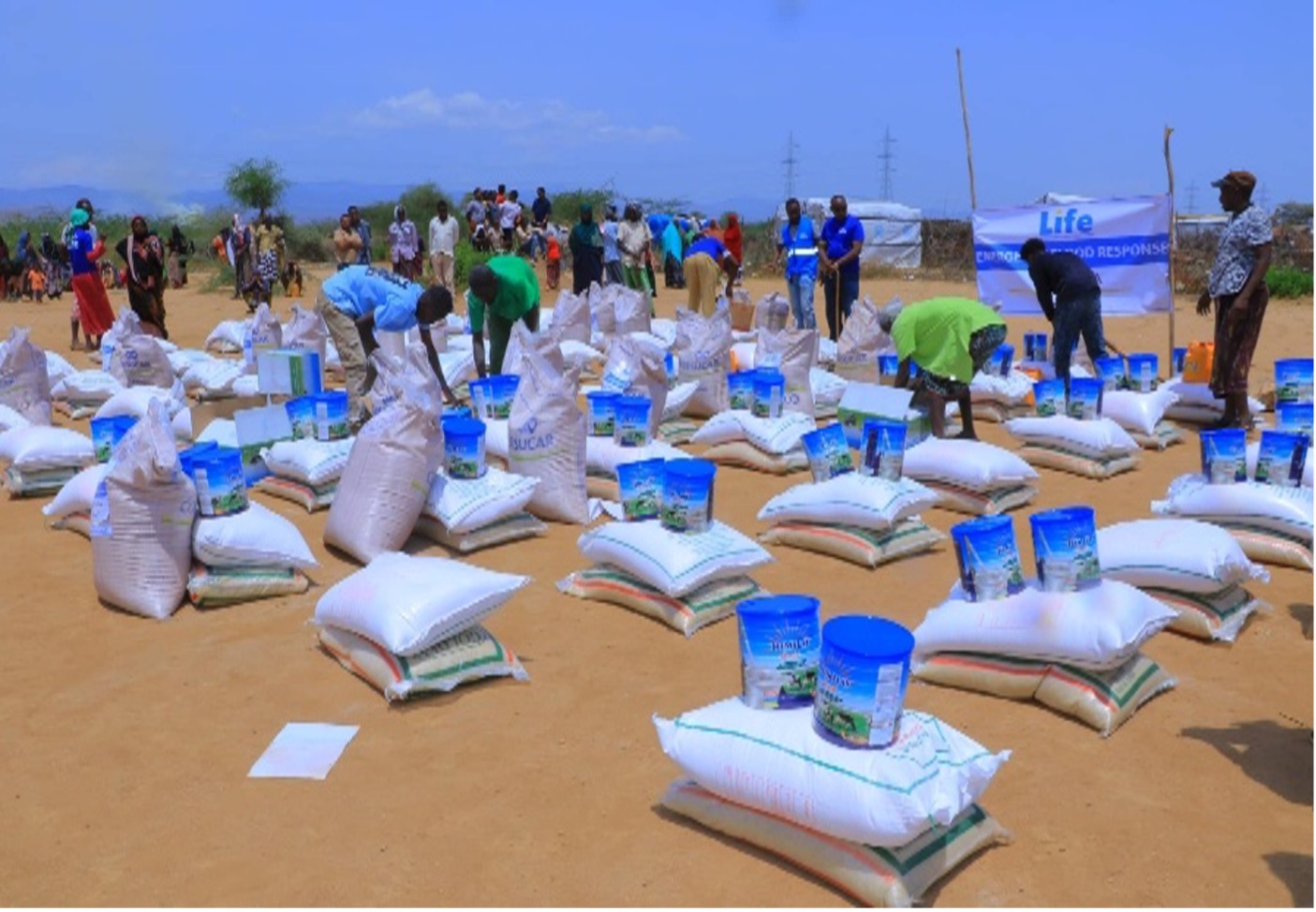 Stacks of emergency food relief supplies prepared for distribution